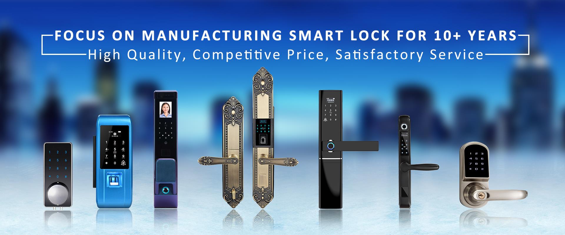 Germany lock, wifi door lock